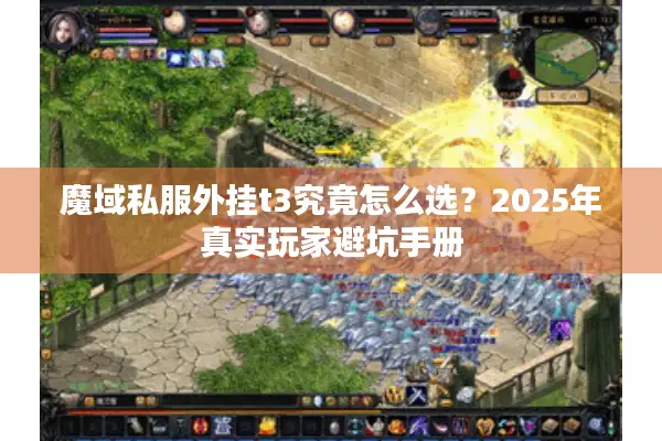 魔域私服外挂t3究竟怎么选？2025年真实玩家避坑手册