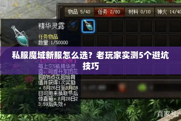私服魔域新服怎么选？老玩家实测5个避坑技巧