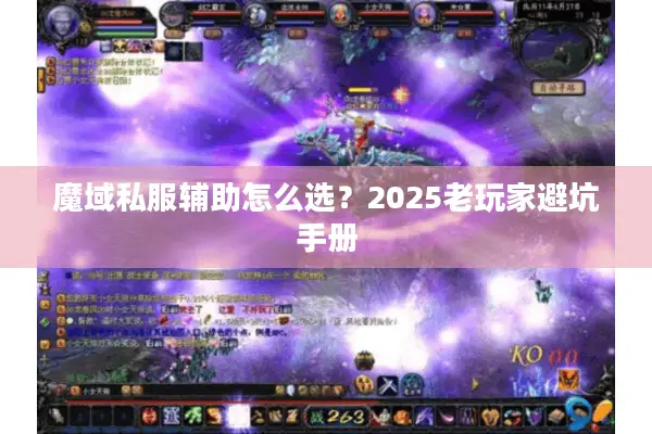 魔域私服辅助怎么选？2025老玩家避坑手册