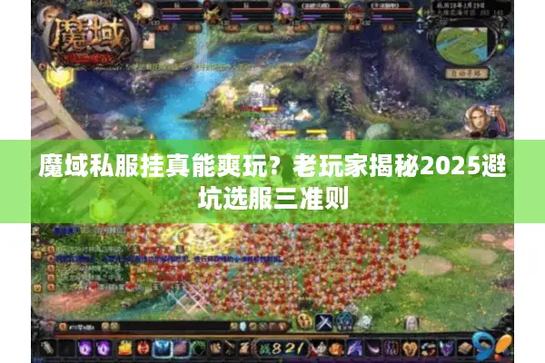 魔域私服挂真能爽玩？老玩家揭秘2025避坑选服三准则