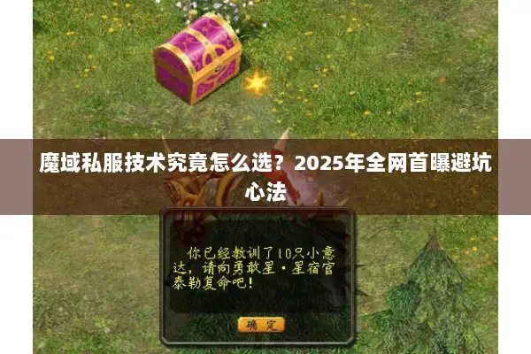 魔域私服技术究竟怎么选？2025年全网首曝避坑心法