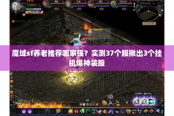 魔域sf养老推荐哪家强？实测37个服揪出3个挂机爆神装服