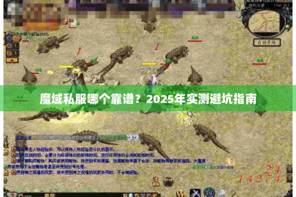 魔域私服哪个靠谱？2025年实测避坑指南
