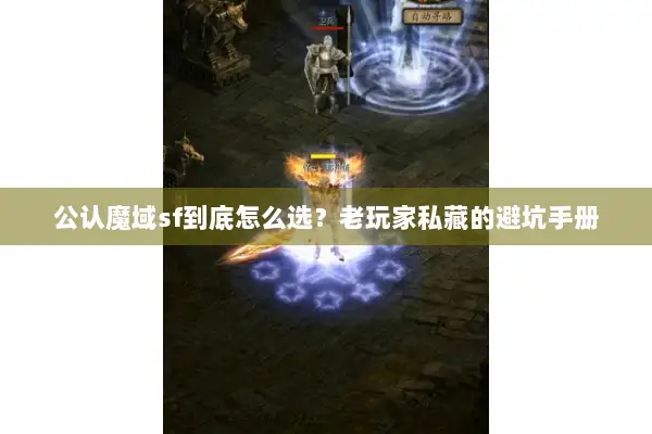 公认魔域sf到底怎么选？老玩家私藏的避坑手册