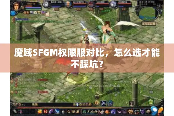 魔域SFGM权限服对比,怎么选才能不踩坑? 魔域SFGM权限服对比,怎么选才能不踩坑?