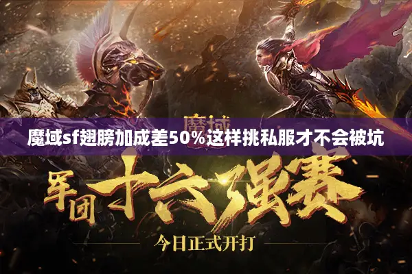 魔域sf翅膀加成差50%这样挑私服才不会被坑