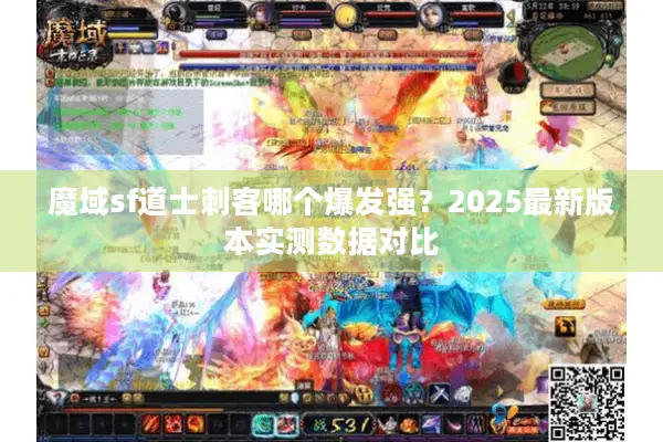魔域sf道士刺客哪个爆发强？2025最新版本实测数据对比