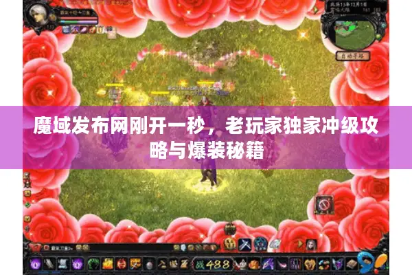 魔域发布网刚开一秒，老玩家独家冲级攻略与爆装秘籍