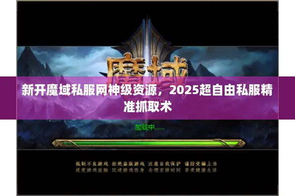 新开魔域私服网神级资源，2025超自由私服精准抓取术