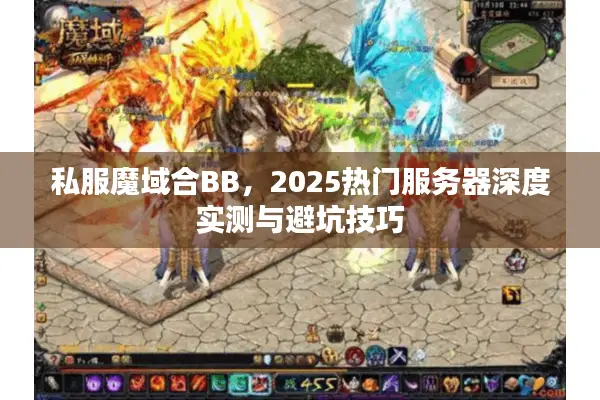 私服魔域合BB，2025热门服务器深度实测与避坑技巧
