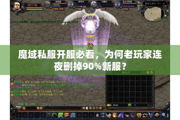 魔域私服开服必看,为何老玩家连夜删掉90%新服? 魔域私服开服必看,为何老玩家连夜删掉90%新服?