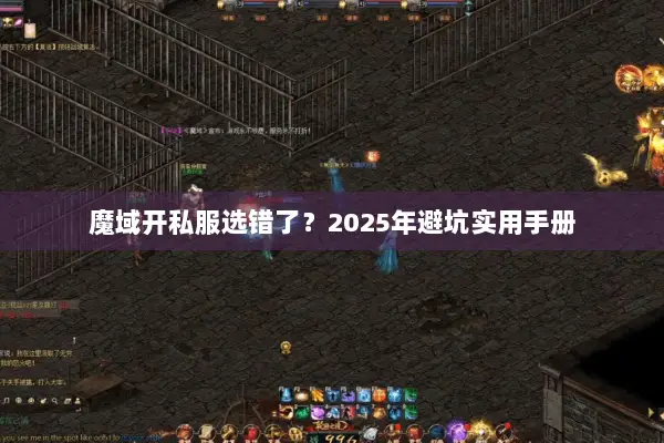 魔域开私服选错了？2025年避坑实用手册