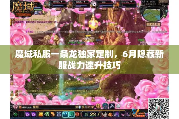 魔域私服一条龙独家定制，6月隐藏新服战力速升技巧