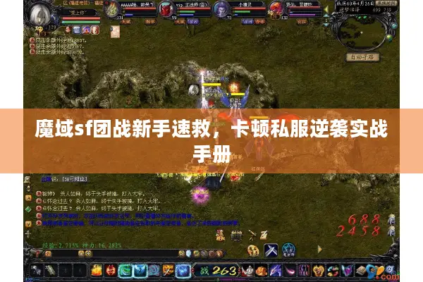 魔域sf团战新手速救，卡顿私服逆袭实战手册