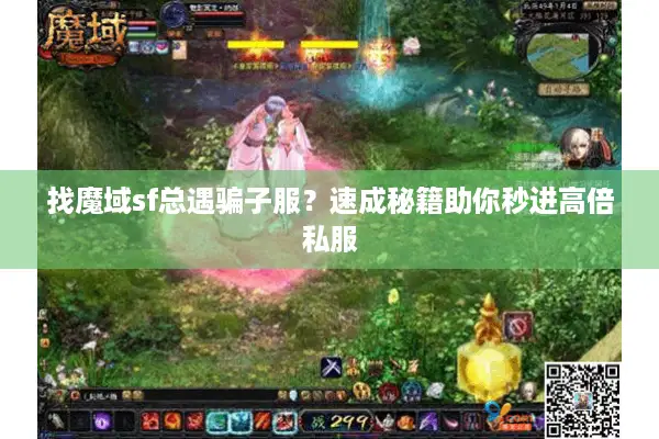 找魔域sf总遇骗子服？速成秘籍助你秒进高倍私服