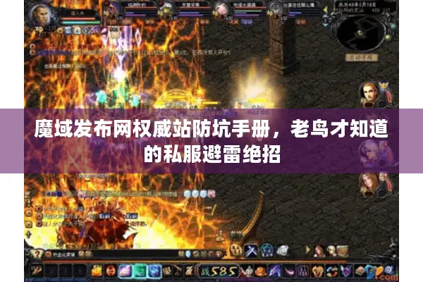 魔域发布网权威站防坑手册，老鸟才知道的私服避雷绝招
