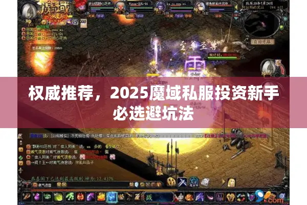 权威推荐，2025魔域私服投资新手必选避坑法
