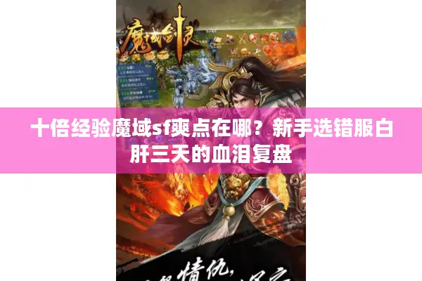 十倍经验魔域sf爽点在哪？新手选错服白肝三天的血泪复盘