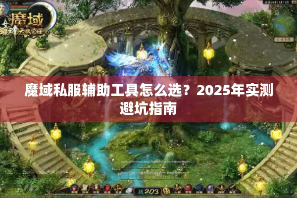魔域私服辅助工具怎么选？2025年实测避坑指南