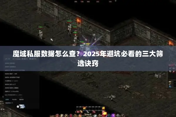 魔域私服数据怎么查？2025年避坑必看的三大筛选诀窍