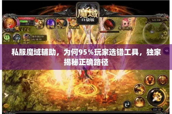 私服魔域辅助，为何95%玩家选错工具，独家揭秘正确路径