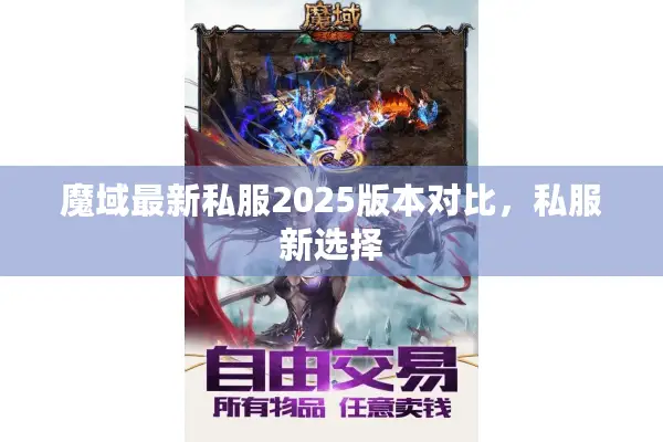 魔域最新私服2025版本对比，私服新选择