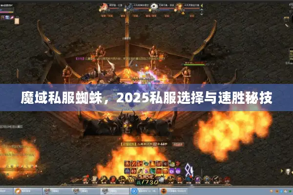 魔域私服蜘蛛，2025私服选择与速胜秘技