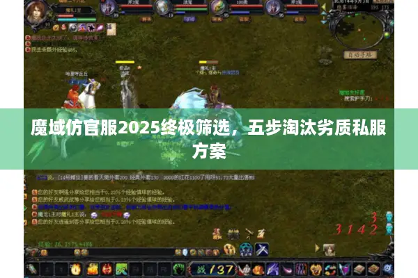 魔域仿官服2025终极筛选，五步淘汰劣质私服方案