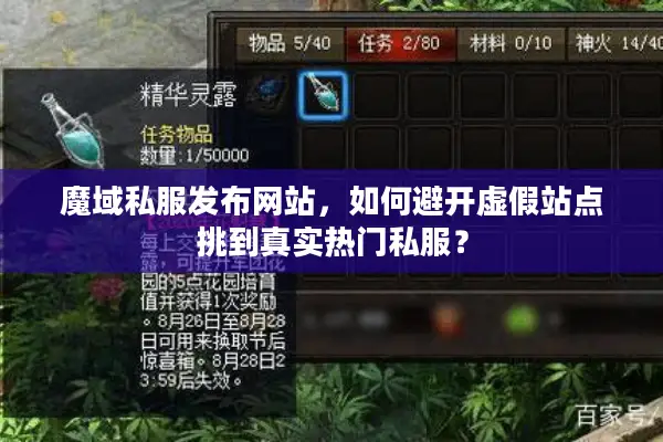 魔域私服发布网站，如何避开虚假站点挑到真实热门私服？
