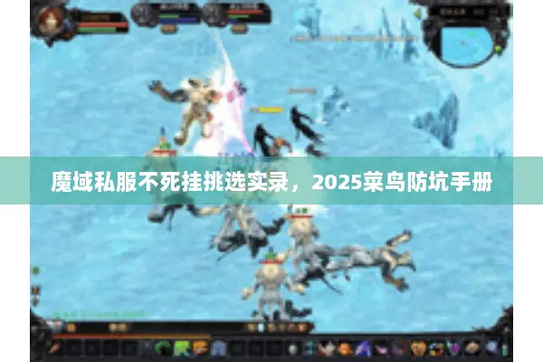 魔域私服不死挂挑选实录，2025菜鸟防坑手册