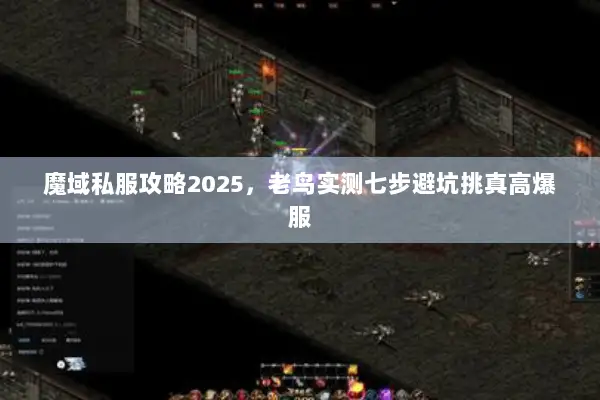 魔域私服攻略2025，老鸟实测七步避坑挑真高爆服