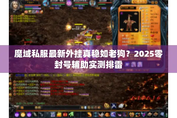 魔域私服最新外挂真稳如老狗？2025零封号辅助实测排雷