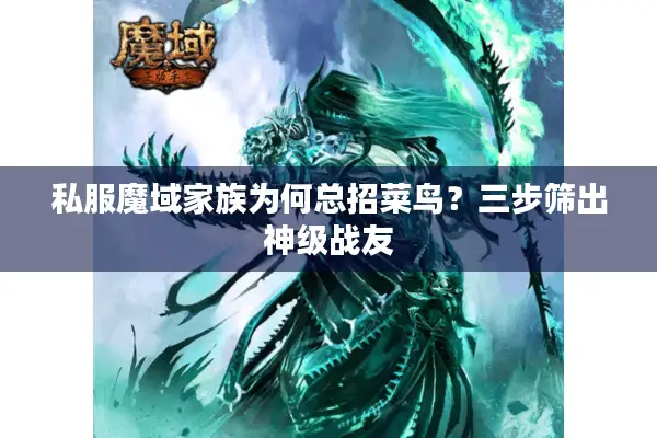 私服魔域家族为何总招菜鸟？三步筛出神级战友