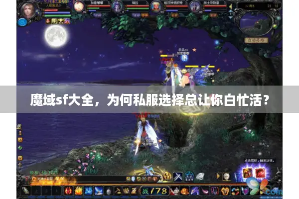 魔域sf大全，为何私服选择总让你白忙活？