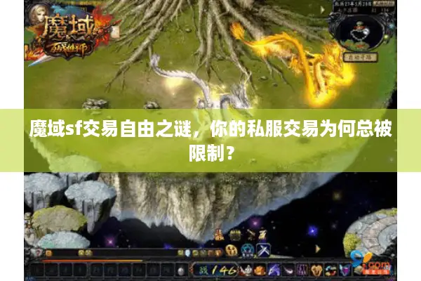 魔域sf交易自由之谜,你的私服交易为何总被限制? 魔域sf交易自由之谜,你的私服交易为何总被限制?