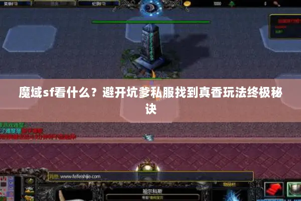 魔域sf看什么?避开坑爹私服找到真香玩法终极秘诀 魔域sf看什么?避开坑爹私服找到真香玩法终极秘诀