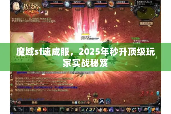 魔域sf速成服,2025年秒升顶级玩家实战秘笈 魔域sf速成服,2025年秒升顶级玩家实战秘笈