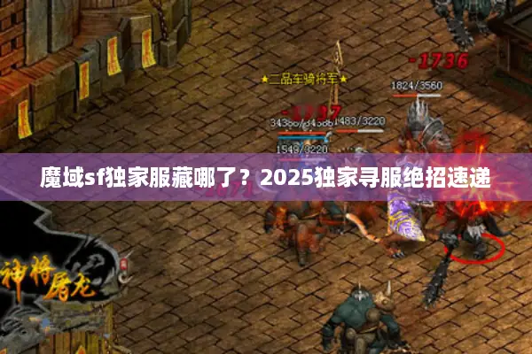 魔域sf独家服藏哪了？2025独家寻服绝招速递