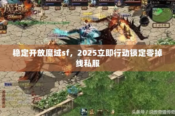 稳定开放魔域sf，2025立即行动锁定零掉线私服