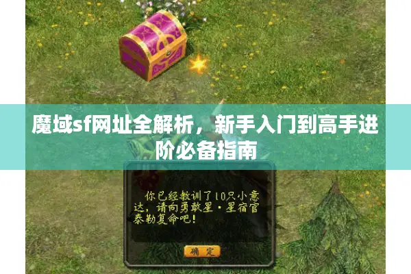 魔域sf网址全解析，新手入门到高手进阶必备指南