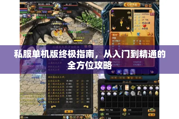 私服单机版终极指南,从入门到精通的全方位攻略 私服单机版终极指南,从入门到精通的全方位攻略