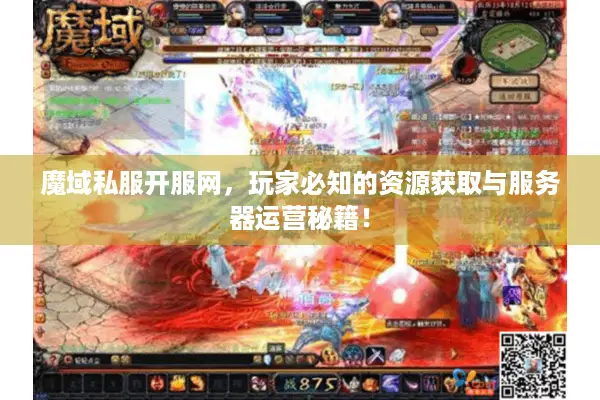 魔域私服开服网，玩家必知的资源获取与服务器运营秘籍！