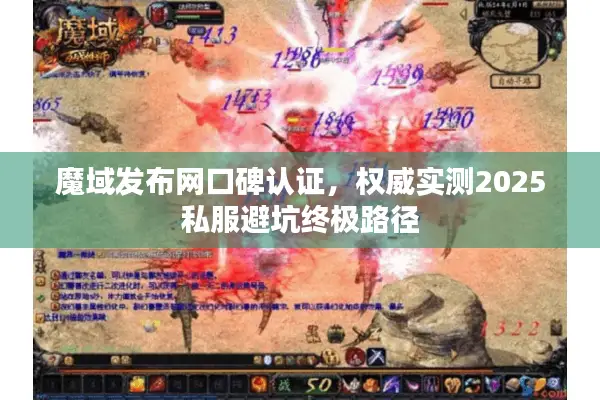 魔域发布网口碑认证，权威实测2025私服避坑终极路径
