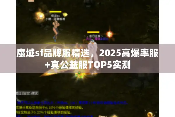 魔域sf品牌服精选，2025高爆率服+真公益服TOP5实测