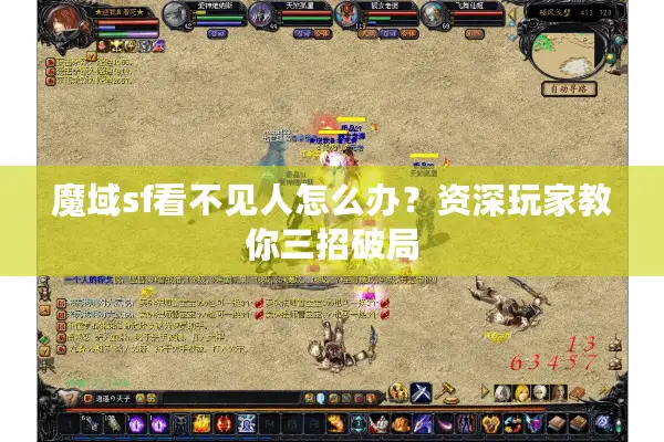 魔域sf看不见人怎么办？资深玩家教你三招破局