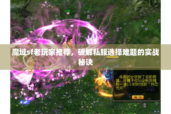 魔域sf老玩家推荐，破解私服选择难题的实战秘诀