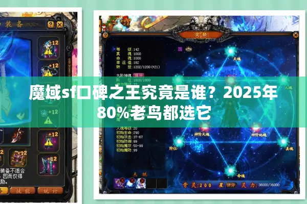 魔域sf口碑之王究竟是谁？2025年80%老鸟都选它