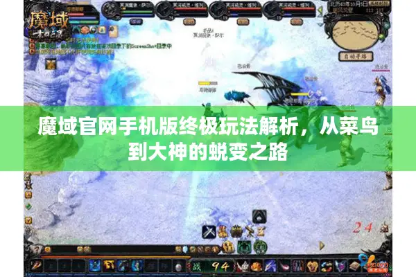 魔域官网手机版终极玩法解析，从菜鸟到大神的蜕变之路