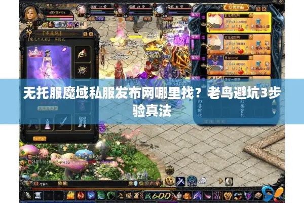 无托服魔域私服发布网哪里找？老鸟避坑3步验真法