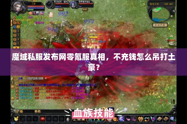 魔域私服发布网零氪服真相，不充钱怎么吊打土豪？
